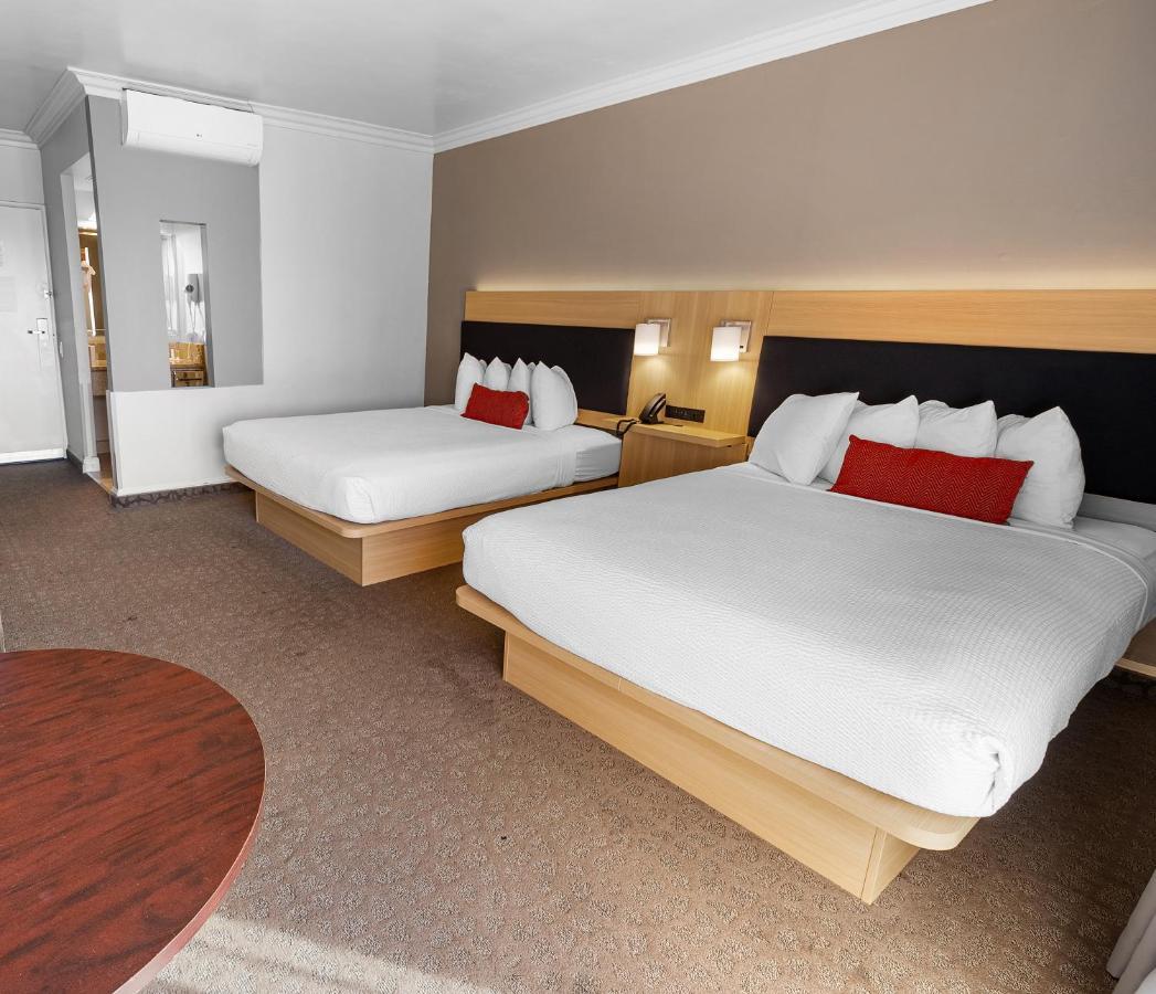 The Live Hotel